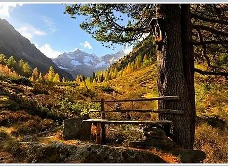 Appartement Fernblick *