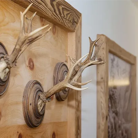 Fernblick Appartement Mayrhofen